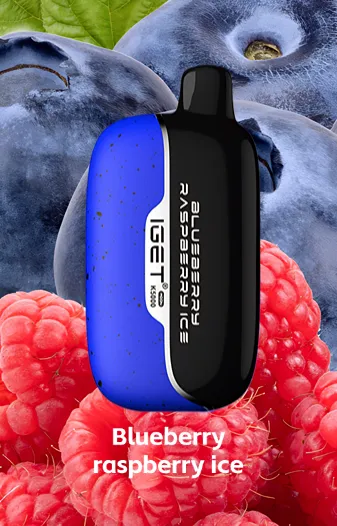 Blueberry_raspberry_ice